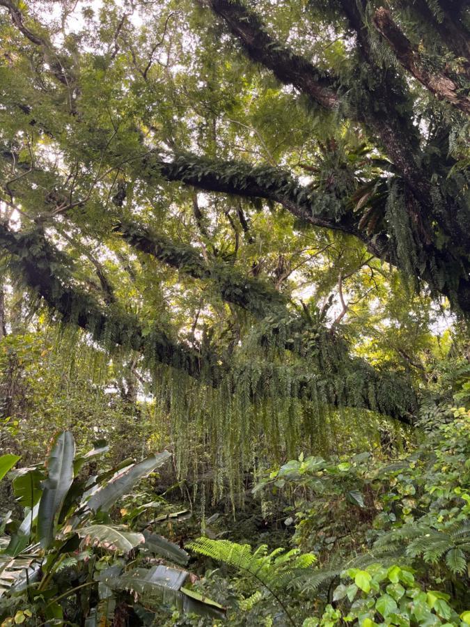 Naveria Heights Lodge Savusavu Bagian luar foto