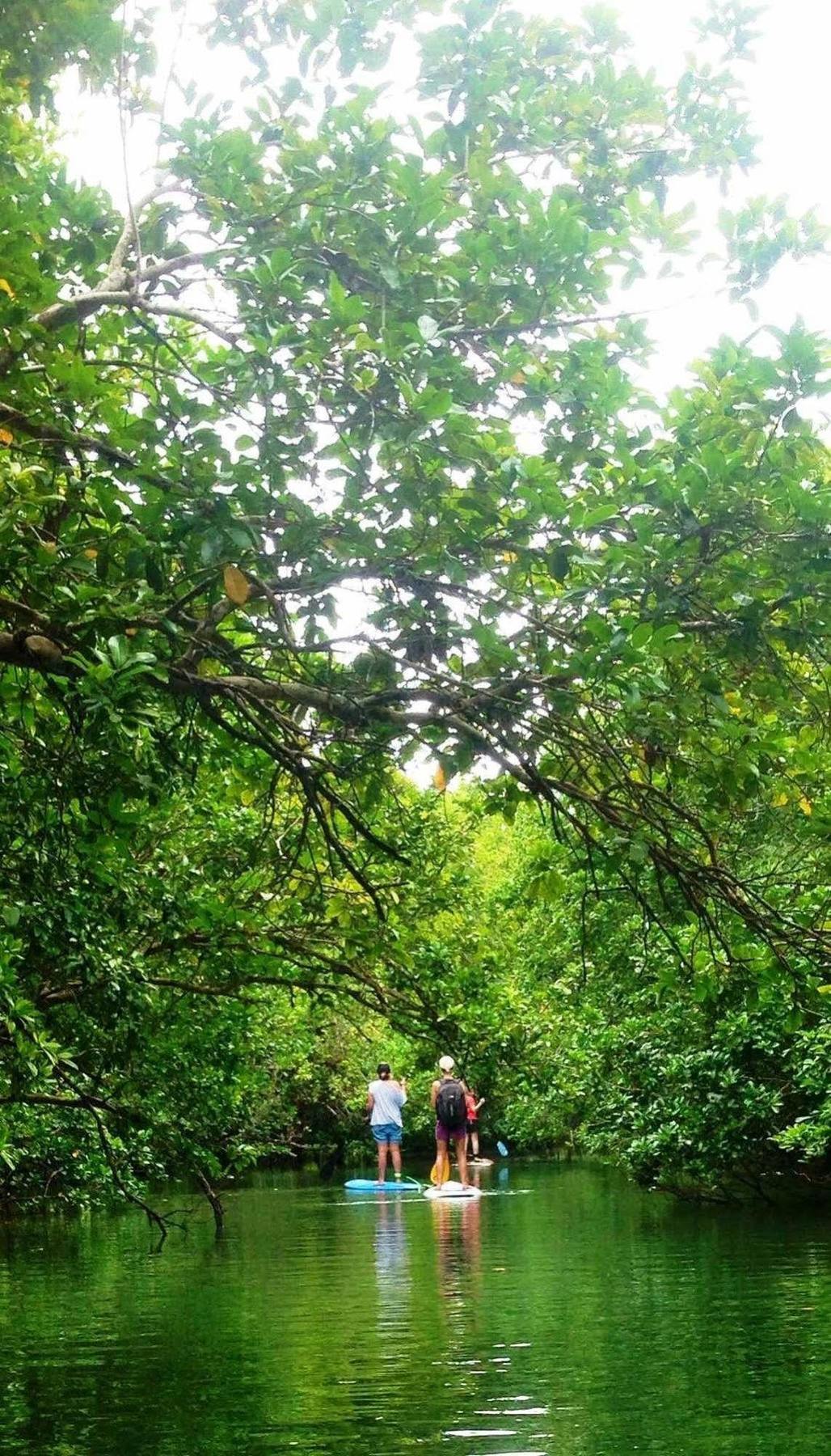 Naveria Heights Lodge Savusavu Bagian luar foto